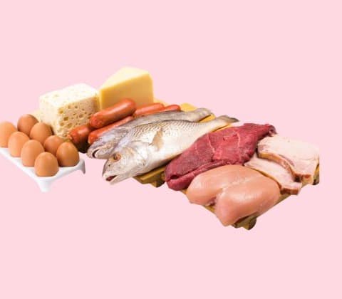 Protein Hewani