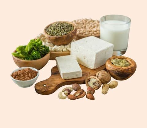 Protein Nabati