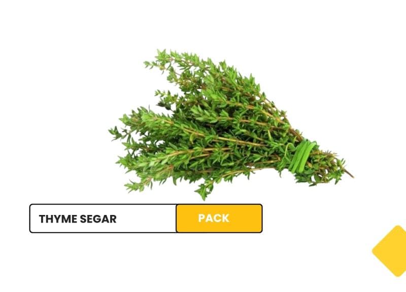 Thyme Segar