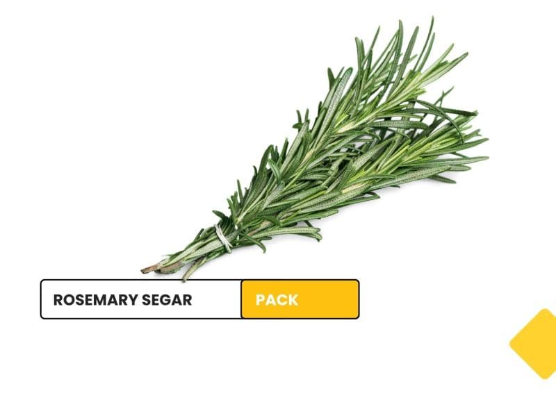 Rosemary segar