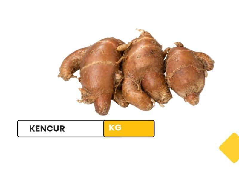 kencur