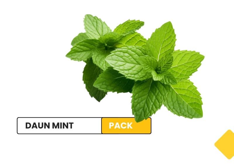 Daun mint