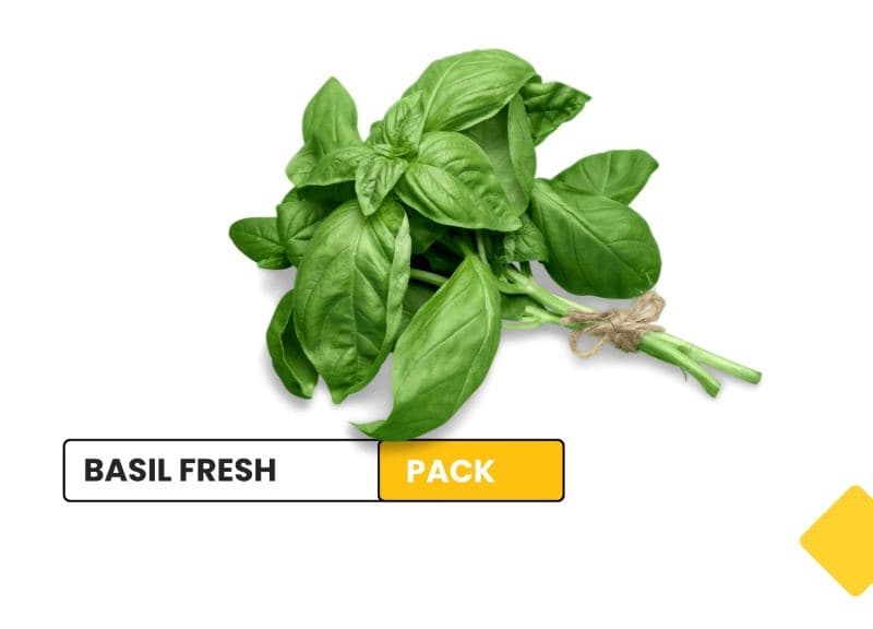 Basil fresh