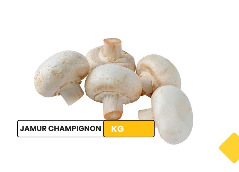 Jamur Champignon