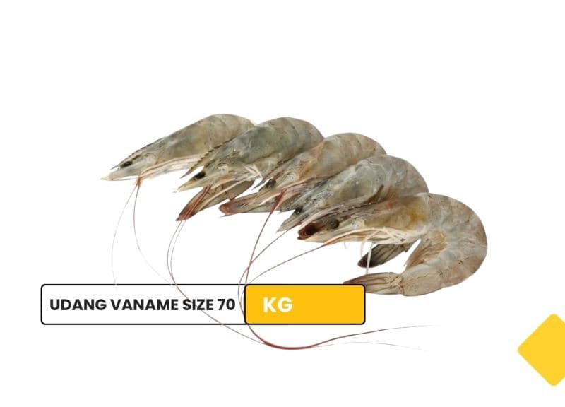 Udang vaname (size 70)
