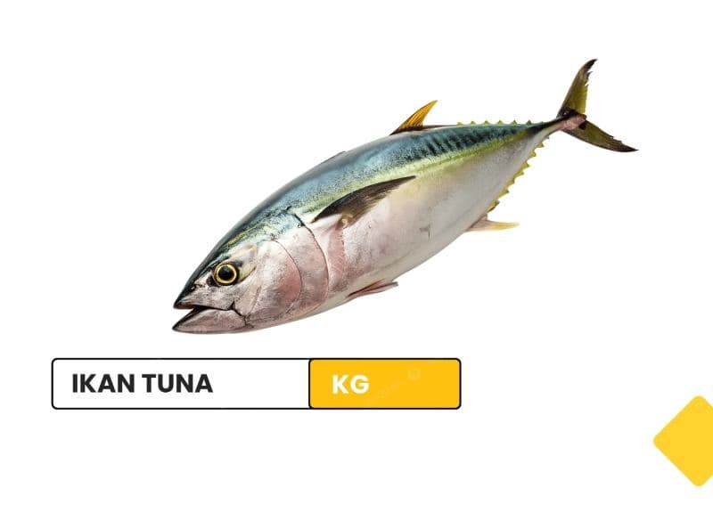 ikan tuna