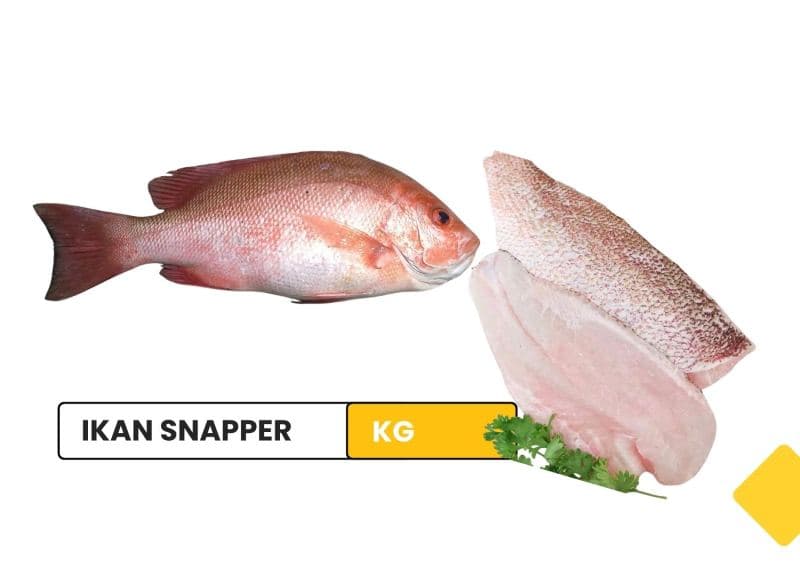Ikan Snapper