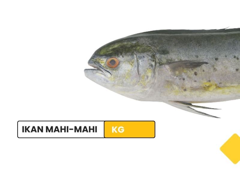 Ikan Mahi-mahi