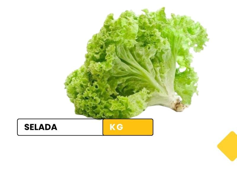 lettuce