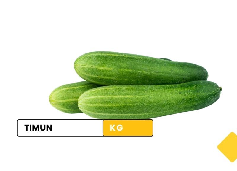 Timun / cucumber