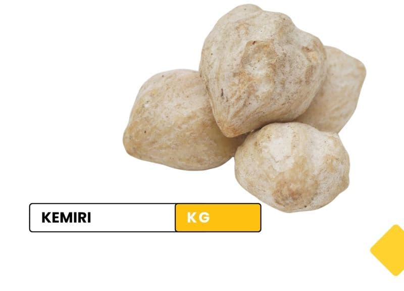 kemiri / candlenut