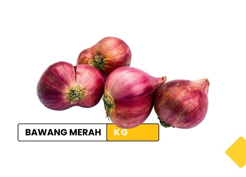 Bawang merah / red onion